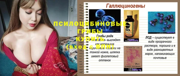 ешки Козловка