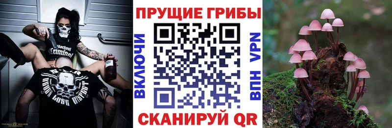 Псилоцибиновые грибы мухоморы  Купить  Весьегонск 